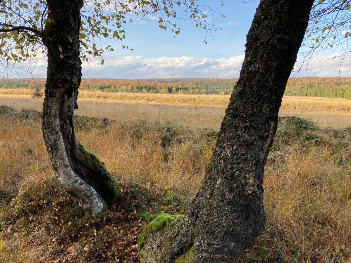 Appartamento Le Relais Du Moustier Grune Esterno foto